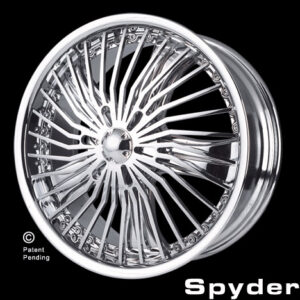 Full Plate 36 Spoke Spyder